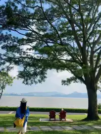 免費|深圳18個出片的地方(附定位路線)