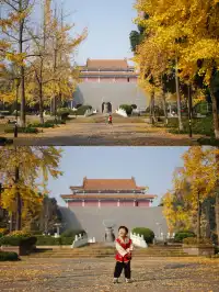 溫江藏著一個「紫禁城」，和銀杏同框太美啦