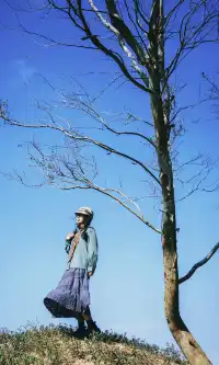 不是阿勒泰去不起,是泉州晉江更有性價比!