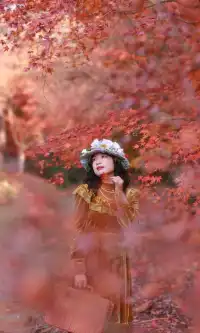 你在人潮擁擠的西湖邊,我在花開海上紅楓自由自在