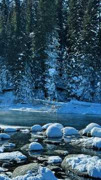 總要去一趟新疆吧!