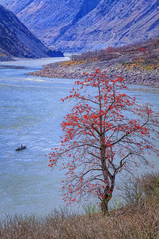 【四州攀之花】4天3晚人均2·5k!