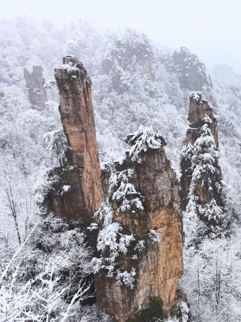 7小時玩透天門山！雪後霧淞+懸崖纜車，這份避坑指南收好｜Trip.com 張家界