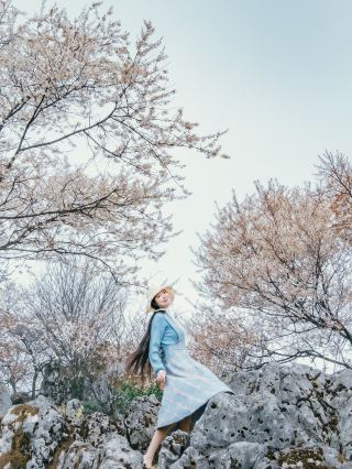 Благодарю весну в Юньгуйшане за свободу и беззаботность