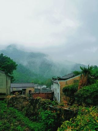 Must-Visit Gaoyi Ancient Village from March to May: A 300-Year-Old Hidden Gem in Chaoshan, Full of Charm in Blue Bricks and Black Tiles