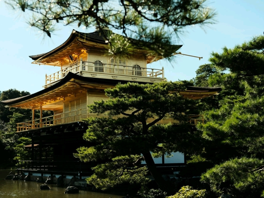 京都・金閣寺｜水面に浮かぶ金色の夢。 | Trip.com 京都