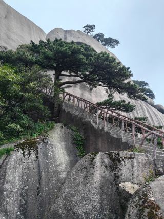 Anhui Tianzhu Mountain Scenic Area