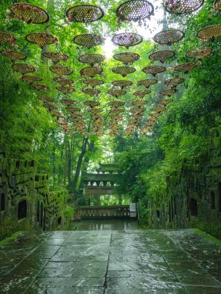 청성산보다… 나는 20℃의 천연 산소 바인 야안이 더 좋아요