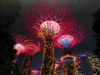 Singapore Citywalk, capturing the beauty of Singapore from a different perspective.
