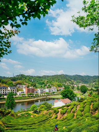 湖北GreenWalk：夏の10種の緑を解放