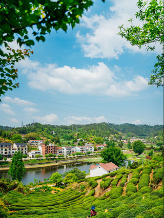 湖北GreenWalk：解鎖夏日十種綠意