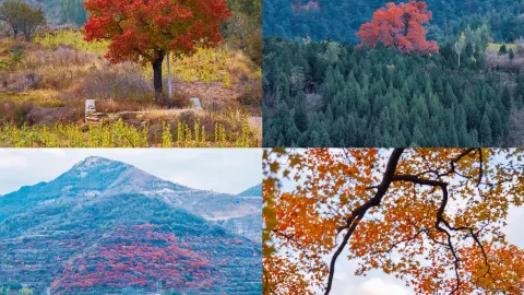 Chill weekend getaways in Shandong: 4 hidden gems just 1 hour away by high-speed rail — traveler post in Dong'e
