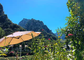 A great place to heal your body and mind~ A hidden gem waiting to be discovered
