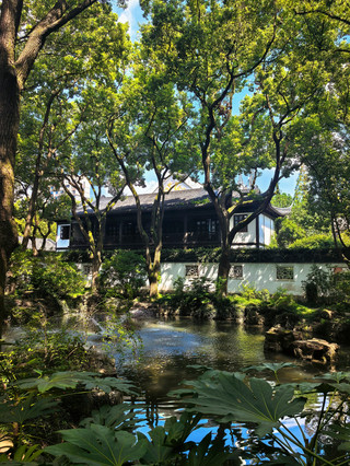醉白池雕花廳驚艷修復,免費向遊客開放