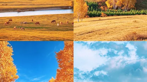 I almost gave up on the Greater Khingan Mountains, but this place is amazing — traveler post in Mohe