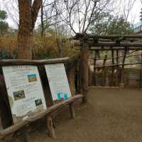 通天閣とサバンナの野生動物が一緒に楽しめる　天王寺動物園