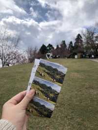 Qingjing Farm - Nantou 🐑