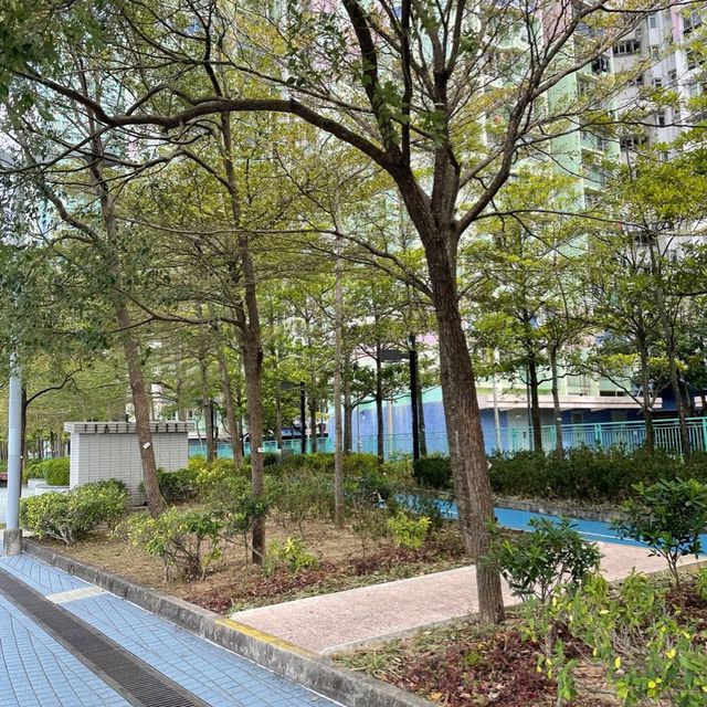 市區中寧靜‼️馬鞍山海濱長廊💕