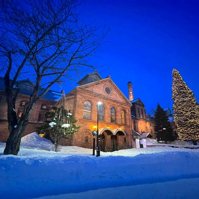 Winter Wonderland in Hokkaido