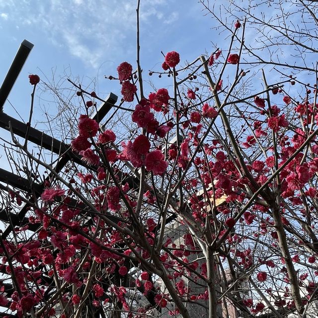 【福岡】箱崎駅近くを散策