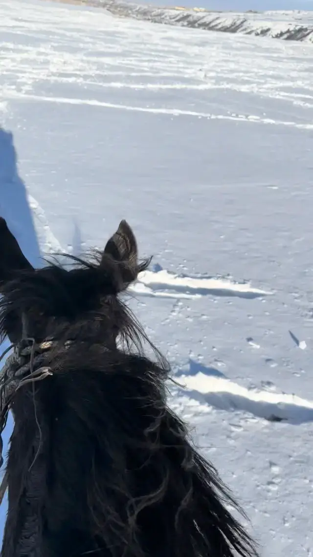 雪地狂奔🏇🏻