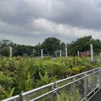 Lake side garden 