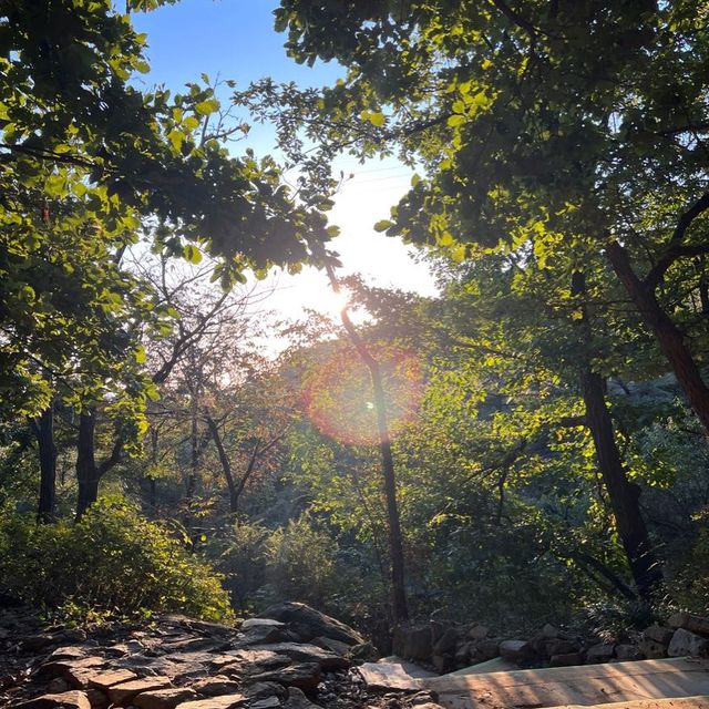 요즘같은 날씨에 등산하기 쉬운 서울 산!!⛰️❤️