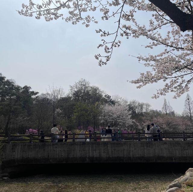 봄꽃 가득한 물향기 수목원🌿