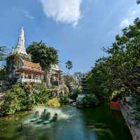 Turtle Tales: Love & Tranquility in heart of Bangkok!