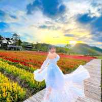 Flowers Village Khaoyai