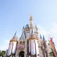 東京ディズニーリゾート混雑状況　5月編6月編