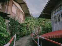 อุ่นไอใบเมี่ยง Oun I Baimiang สกาด อ.ปัว