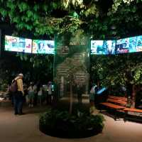 ไปฟินฟินกับธรรมชาติกลางกรุงเทพฯ กับป่าในกรง