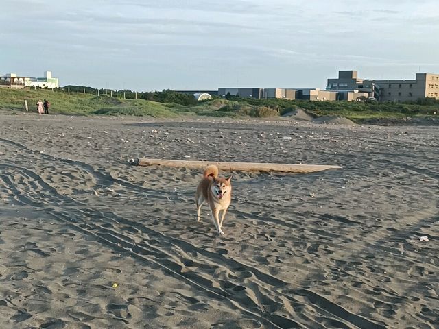 觀音濱海遊憩區
