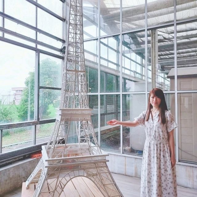 礁溪金車蘭花公園｜與動植物近距離親近🧡慵懶水豚君、愛抓癢大嘴鳥