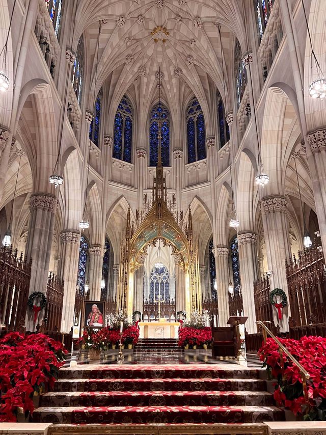 Divine Design:St Patrick’s & St Mary’s Shrine