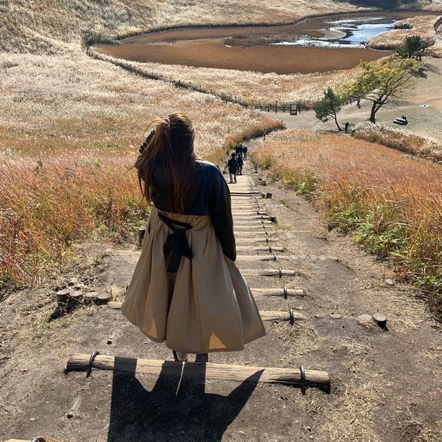曽爾高原