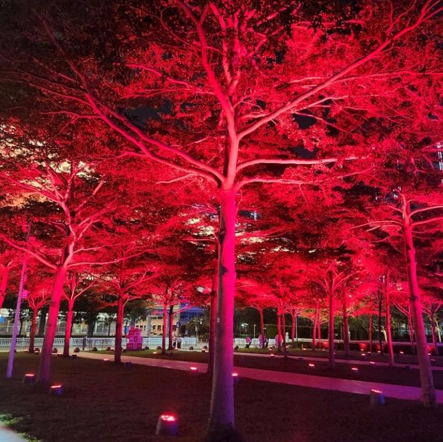 Shenzhen Lights