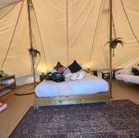 Balgownie Estate Bendigo的Glamping 在葡萄園中享受豪華露營體驗