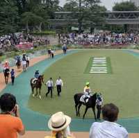  🔥 探索賽馬世界！東京競馬場 🔥