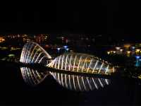 ชมวิวระฟ้ากับ Singapore Flyer 