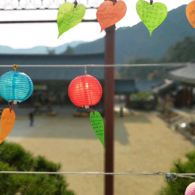 천년의 역사가 깃든 합천 해인사