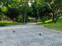 高雄前金-下棋乘涼走迷宮|中央公園|（像渡假村的超大型公園）