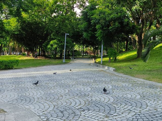 高雄前金-下棋乘涼走迷宮|中央公園|（像渡假村的超大型公園）