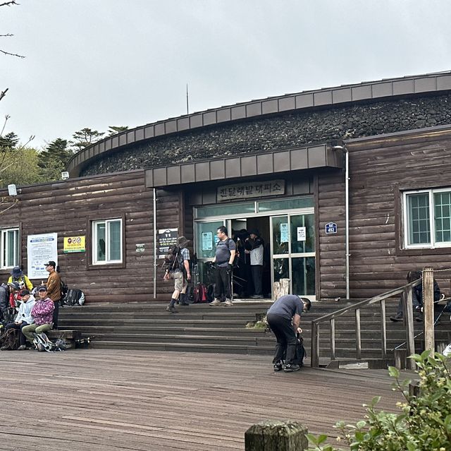 다양한 식생식물과 동물을 만날 수 있는 ⛰️ 한라산 성판악 코스