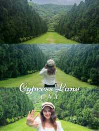 ฟีลมาตาลดามาฮีลใจ น่ารักสดใส ที่ Cypress Lane 💕 