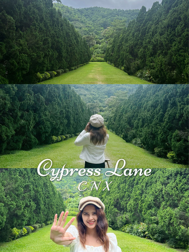 ฟีลมาตาลดามาฮีลใจ น่ารักสดใส ที่ Cypress Lane 💕 