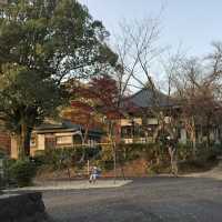 🌳🌸🏞️ 西山公園⛩️大自然的綠洲 🌳🌸🏞️