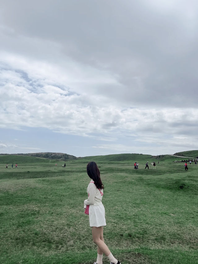 렌트로 즐기는 일본 소도시 여행🚘
