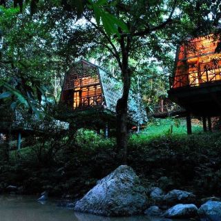 Resor Margasatwa Tabin